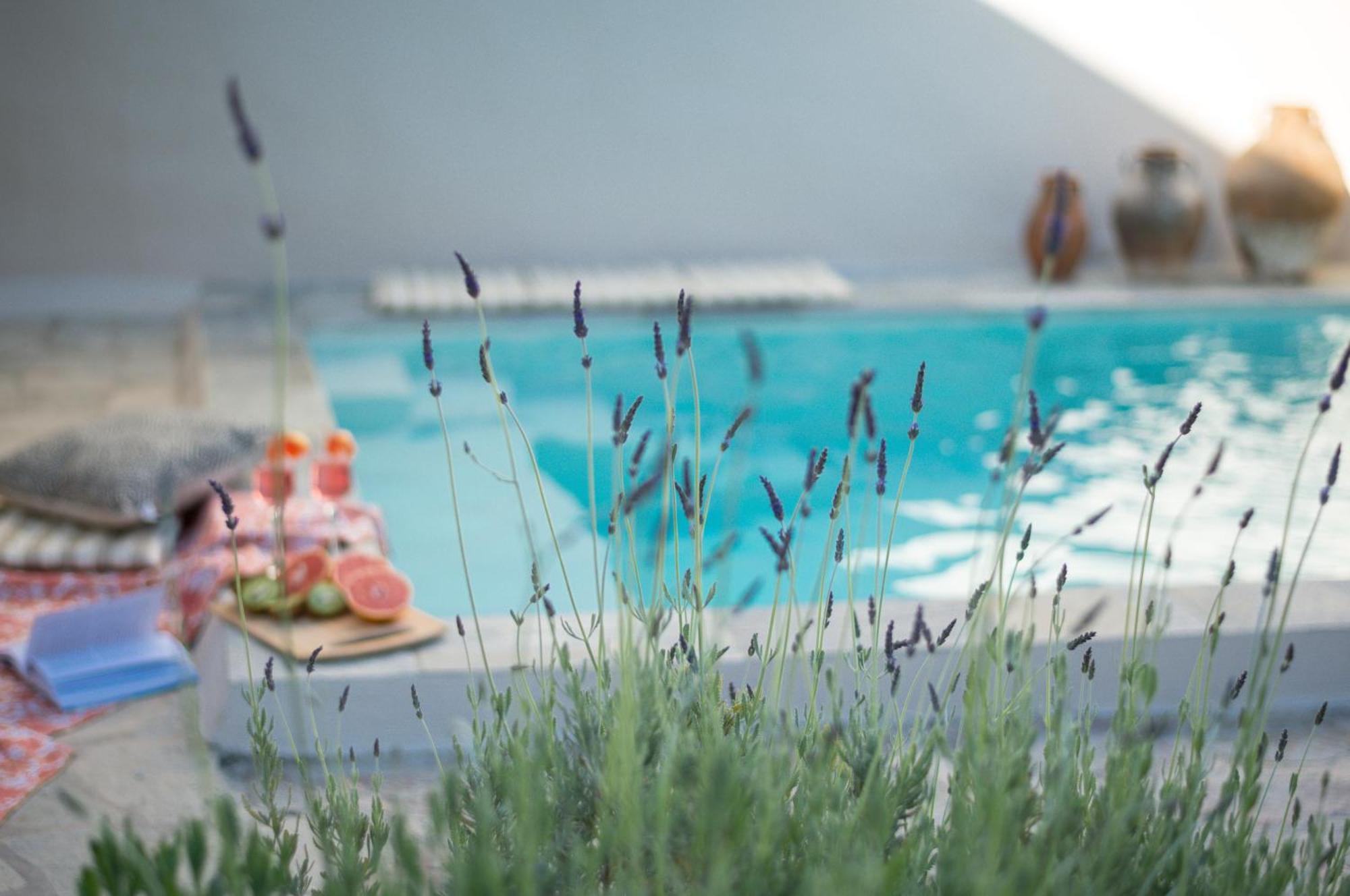 Anassa Mountain House * Émbonas